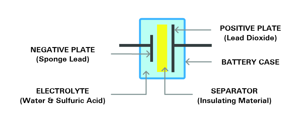 the structure of a cell