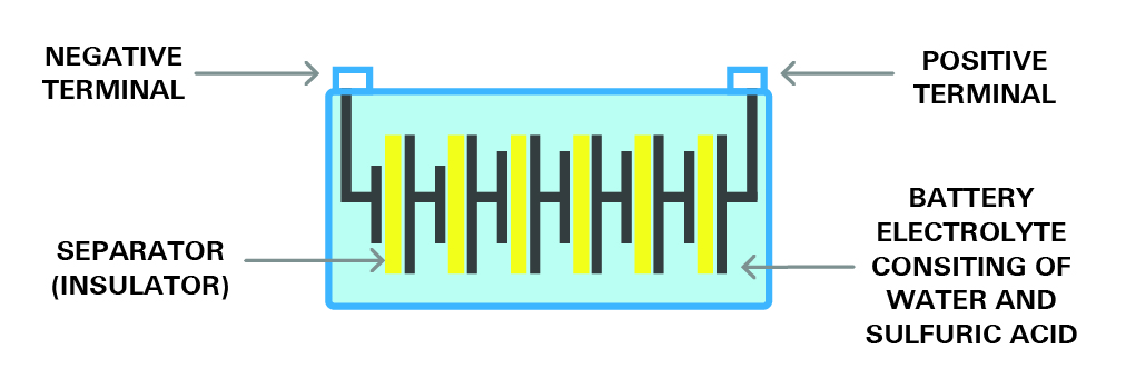 the structure of a cell